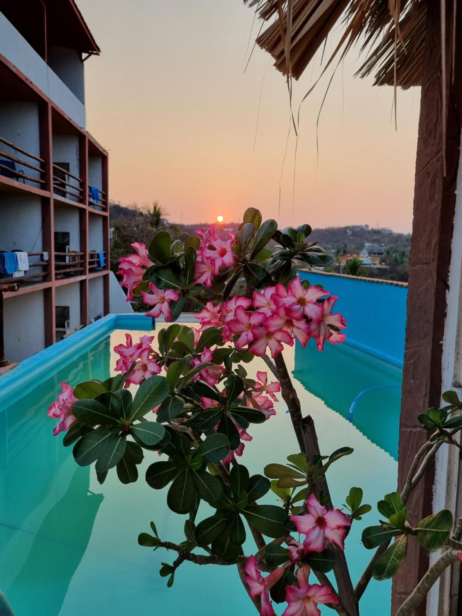 Namaste Zipolite Suites Kültér fotó